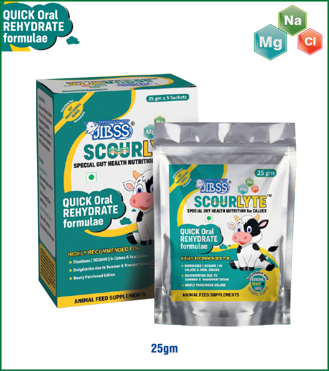 Scourlyte 25gm
